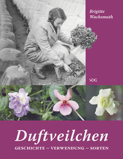 Duftveilchen